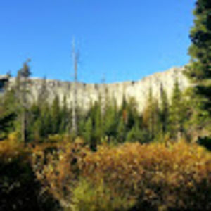 Meet your Posher, Janet